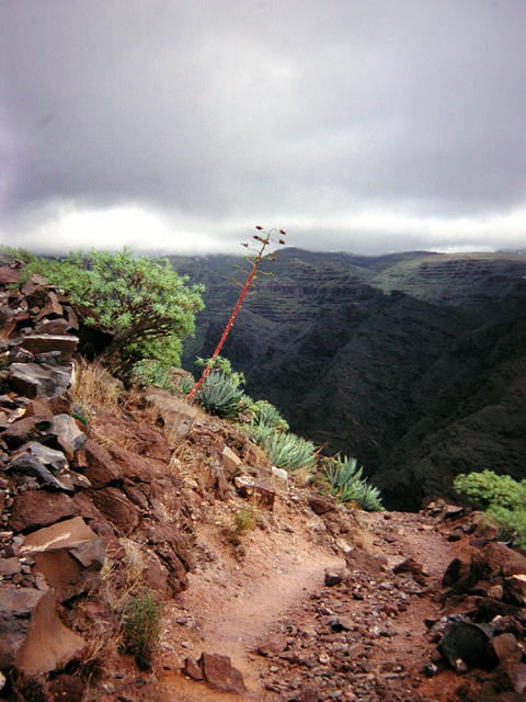 Wanderweg auf dem La Mérica