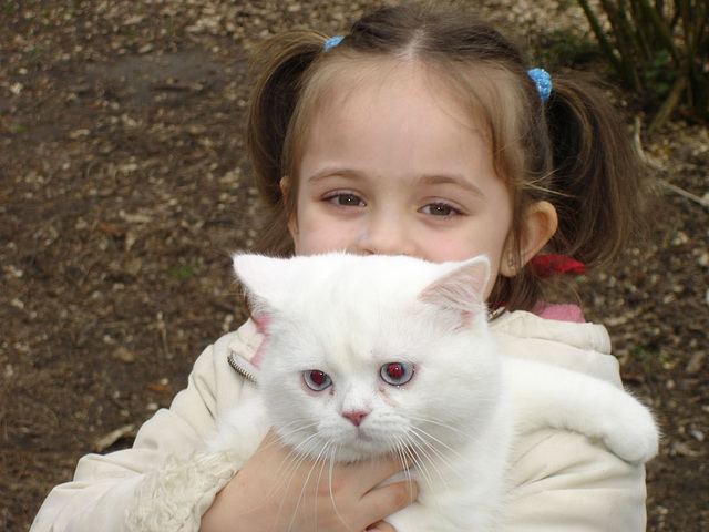 Mädchen mit Kater