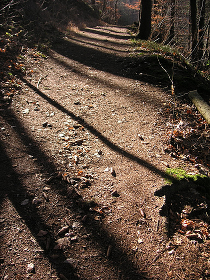 light and shadow - lumiere et ombre