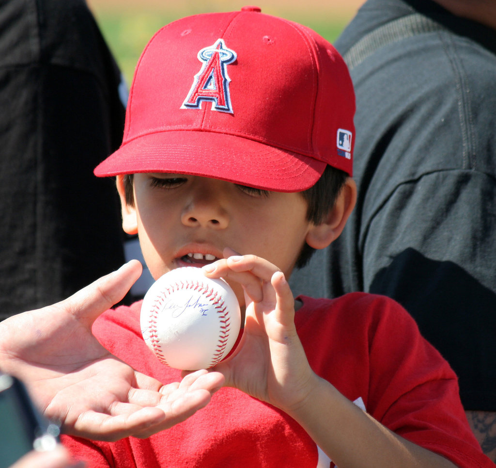 Angels Fan (0973)