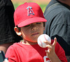 Angels Fan (0975)