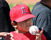 Angels Fan (0976)