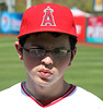 Angels Fan (1245)