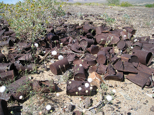 Black Jack Mine Can Dump (0453)