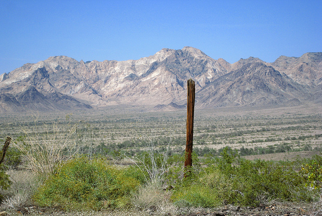 Black Jack Mine View (0457)