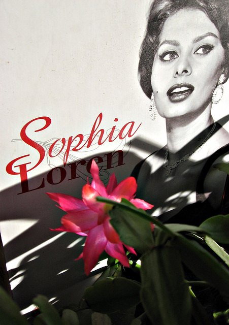 Sophia e fiore