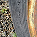 Ballarat Tire (3177)