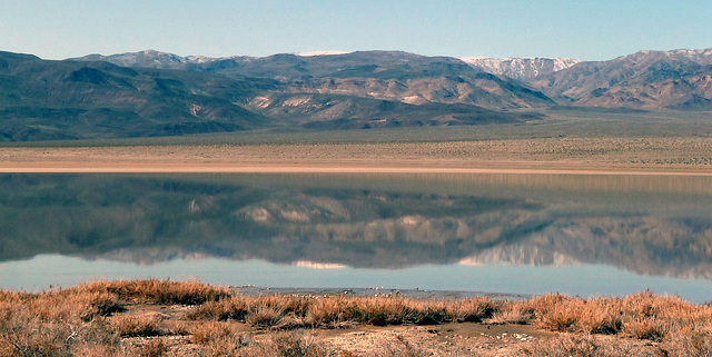 Panamint Valley (3182)