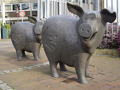 Schweinerei