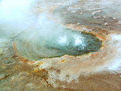 Geysers du Tatio  4600 m (08)