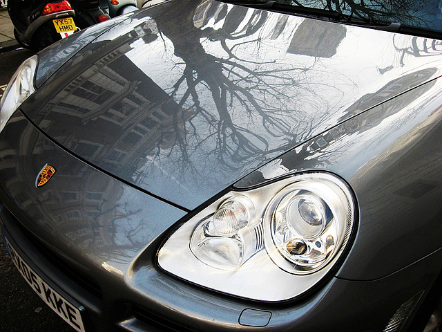 Porsche und Baum