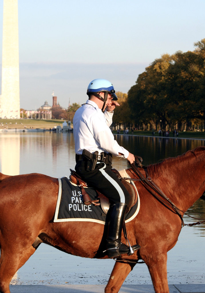 USPP.ObamaMessageBoard.LincolnMemorial.WDC.7nov08