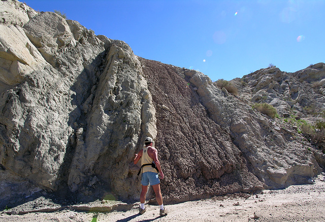 Pat & Seismic Feature (7137)