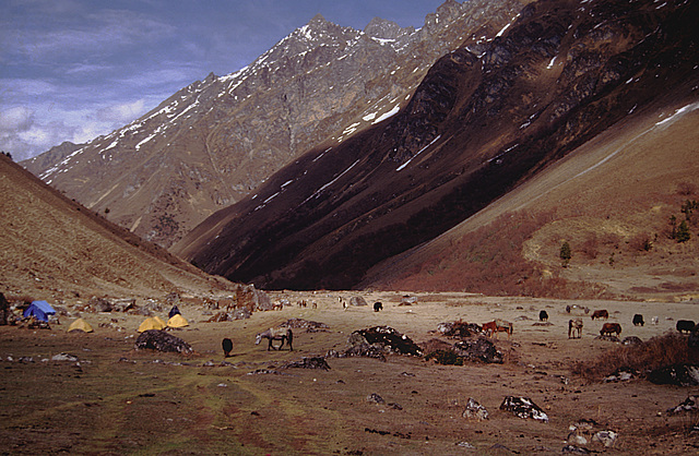 Jangothang the Chomolhary sanctuary