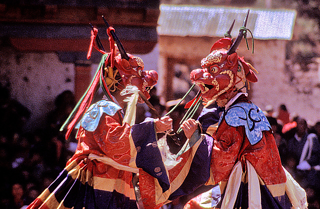 Sha-Zami, The dance of the deers