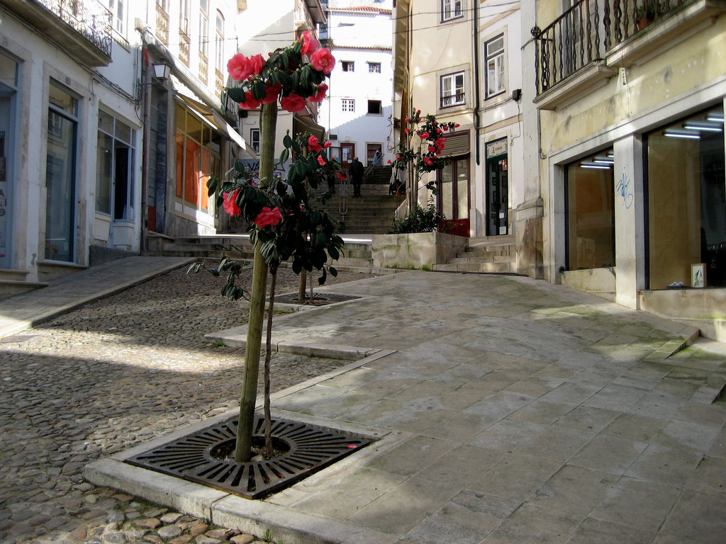 Coimbra, upwards the University