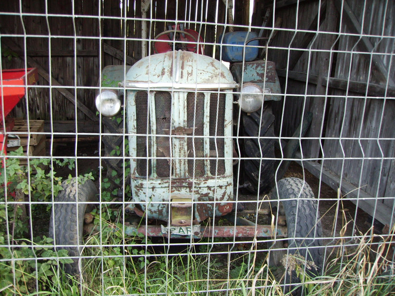 caged in