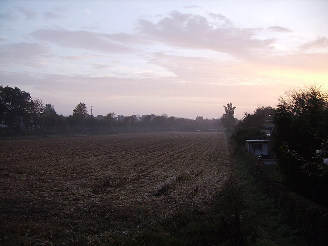 11 cornfield in october (without corn)