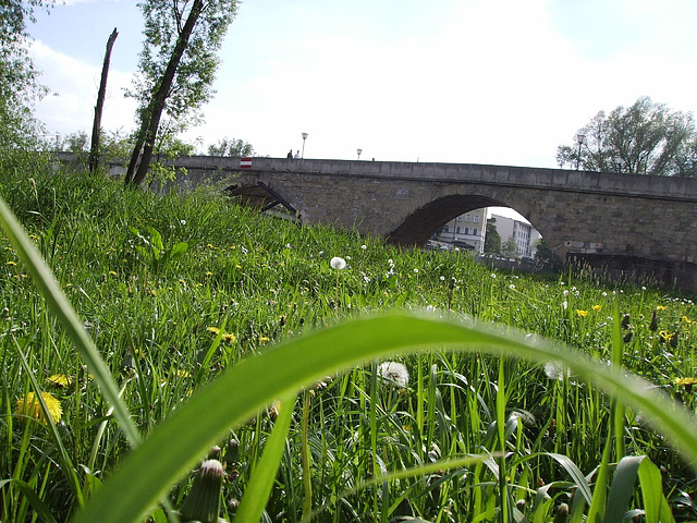 double bridge