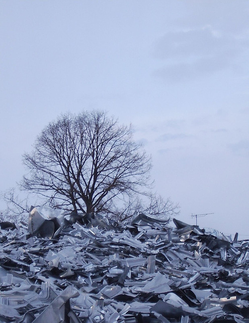 aluminium tree