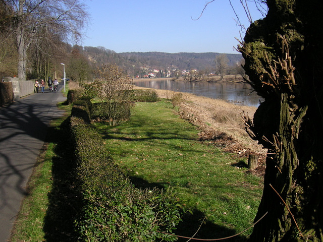 Kleiner Spaziergang an der Elbe