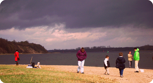strangers on the beach and a dog