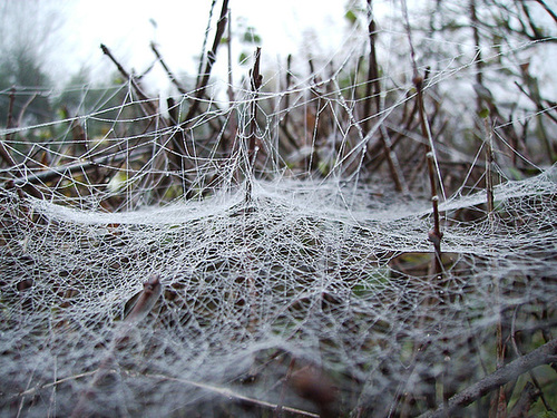 web 2.0
