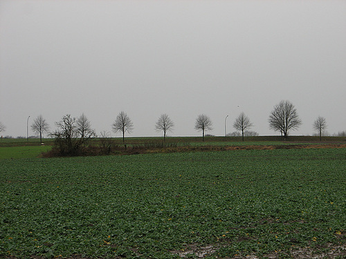Dorfallee