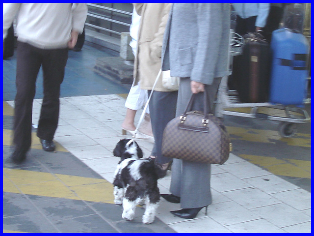 Dame blonde du bel âge en bottes de Dominatrice avec son toutou - Blonde mature in Dominatrix Boots with her dog- 19-10-2008 -  Aéroport de Bruxelles .