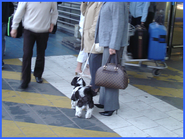 Dame blonde du bel âge en bottes de Dominatrice avec son toutou - Blonde mature in Dominatrix Boots with her dog- 19-10-2008 -  Aéroport de Bruxelles .