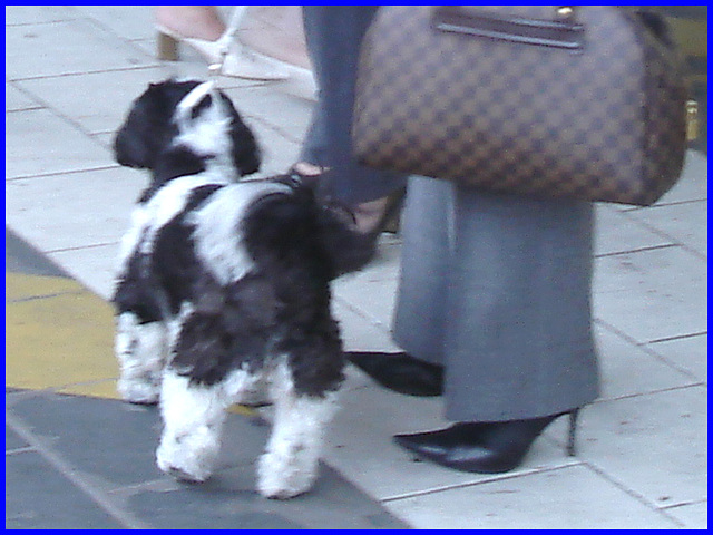 Dame blonde du bel âge en bottes de Dominatrice avec son toutou - Blonde mature in Dominatrix Boots with her dog- 19-10-2008 -  Aéroport de Bruxelles .