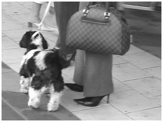 Dame blonde du bel âge en bottes de Dominatrice avec son toutou - Blonde mature in Dominatrix Boots with her dog- 19-10-2008 -  Aéroport de Bruxelles - En noir et blanc / Black & white