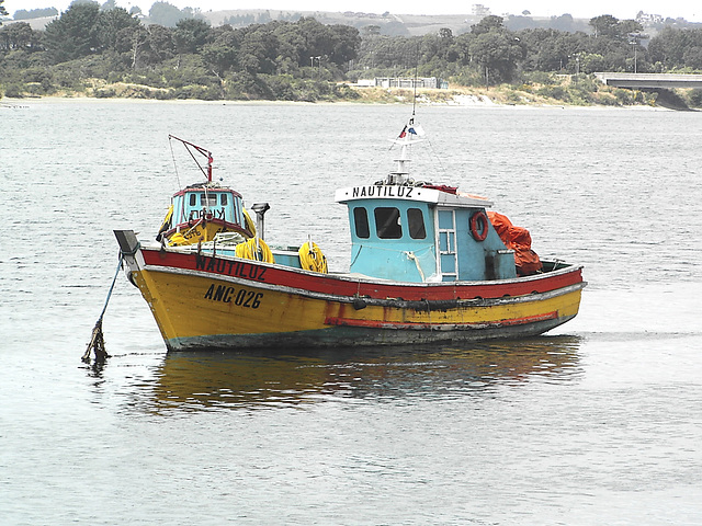 Chiloé, le Nautilus