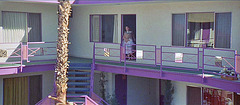 3 Women - Purple Sage Apartments (72)