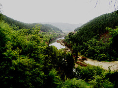 Coimbra (area), River Mondego