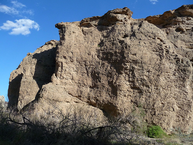 Trail To Hidden Springs (3711)