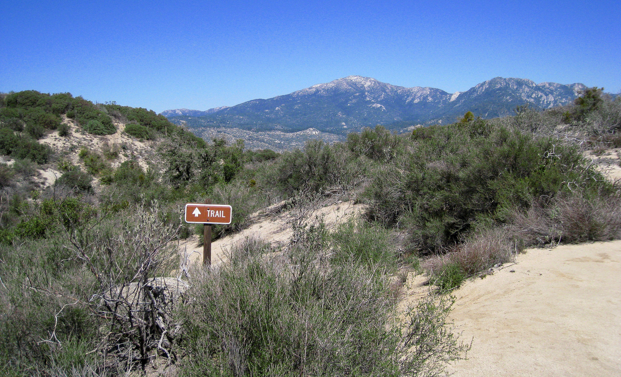 Trail to South Fork Of The San Jacinto Creek (0376)