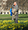 Looking lost amongst the daffodils