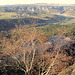 Blick auf die Bastei