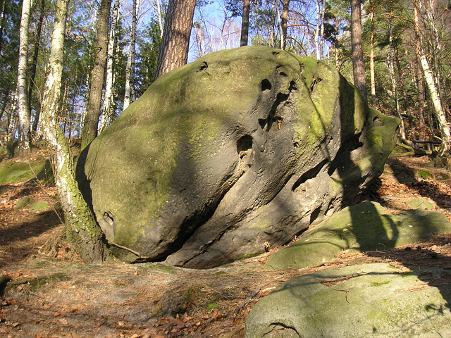 Der Lilienstein