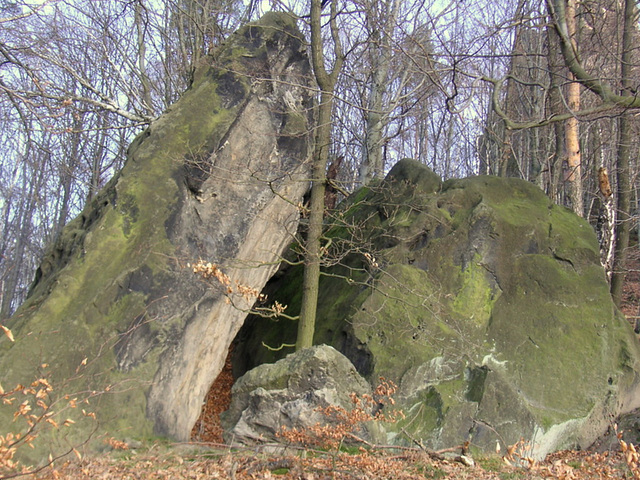 Der Lilienstein