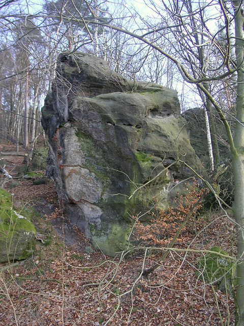 Der Lilienstein