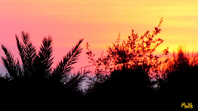 Coucher du jeudi