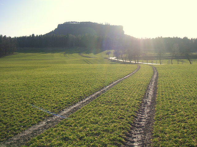 Der Lilienstein - Februar 2008