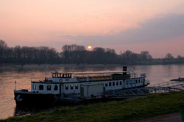 Schiff am Rhein