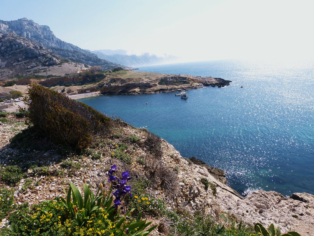 ...un paradis...de calme,et beauté...  ...