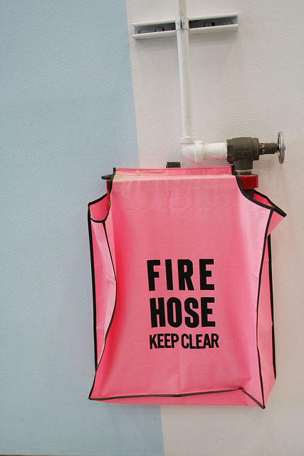 Pink Fire Hose (1457)