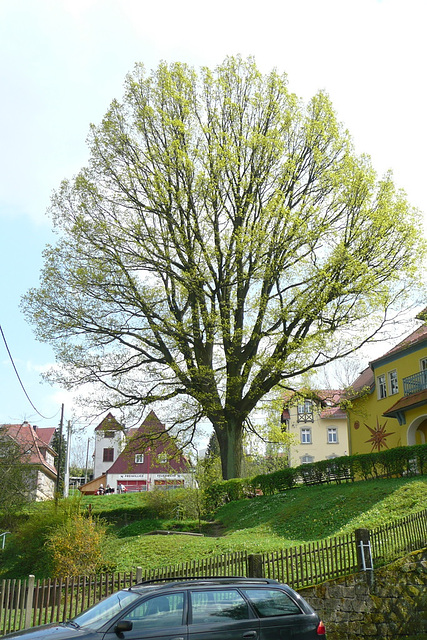 Bergstadt Hohnstein - Sächsische Schweiz