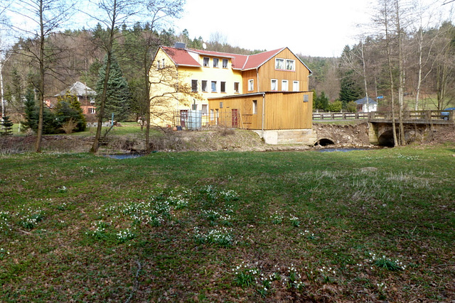 Bockmühle - Polenztal