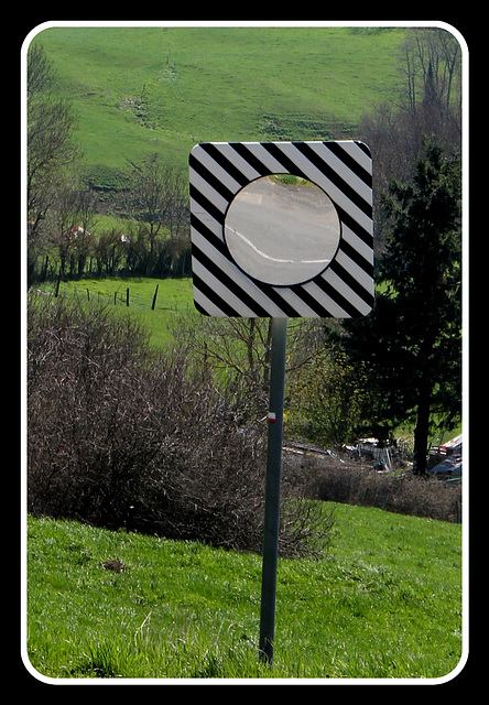 Sucette géante pour vache